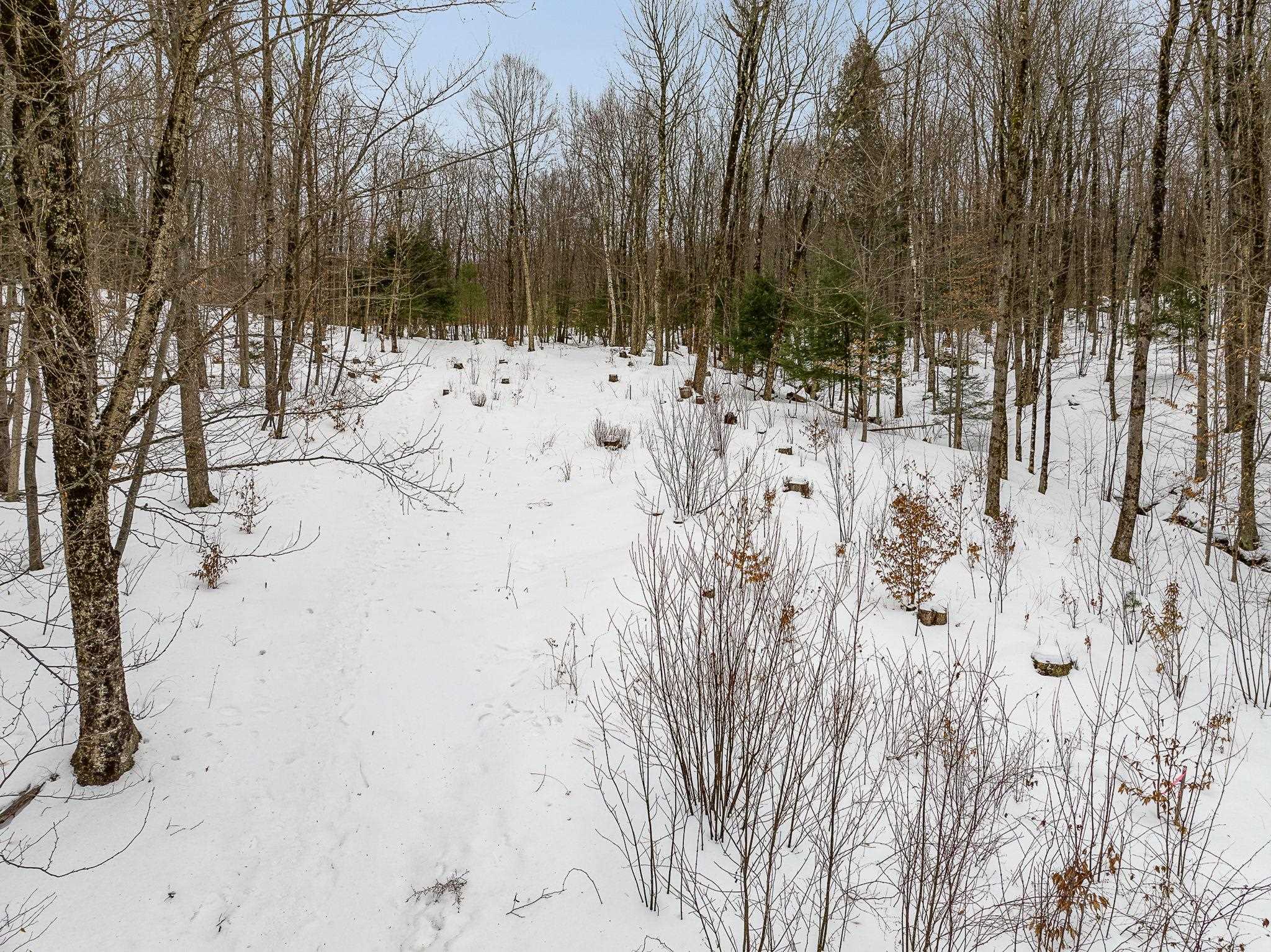 115 Stone Hill Road Bolton, VT 05465 - Photo 5 of 54