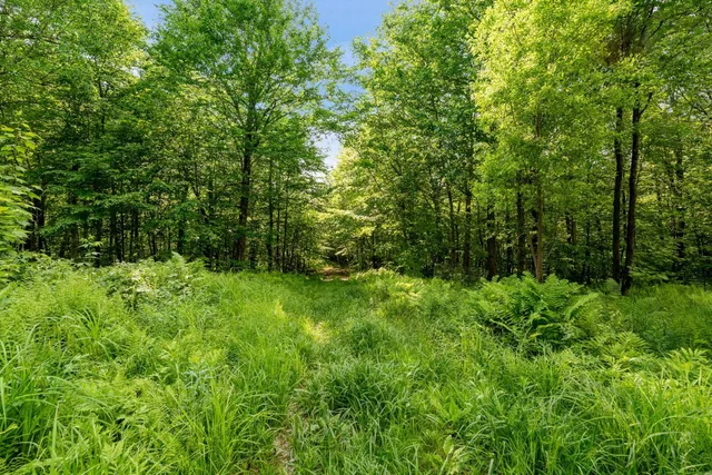 $335,000 | 115 Stone Hill Road, Bolton, VT 05465