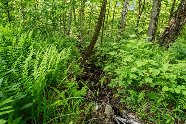 $335,000 | 115 Stone Hill Road, Bolton, VT 05465