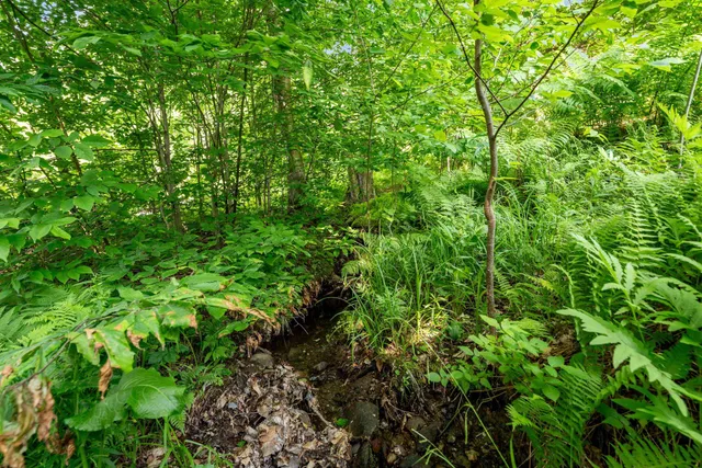 $335,000 | 115 Stone Hill Road, Bolton, VT 05465