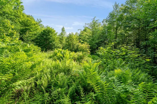 $335,000 | 115 Stone Hill Road, Bolton, VT 05465