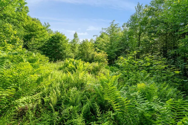 $335,000 | 115 Stone Hill Road, Bolton, VT 05465