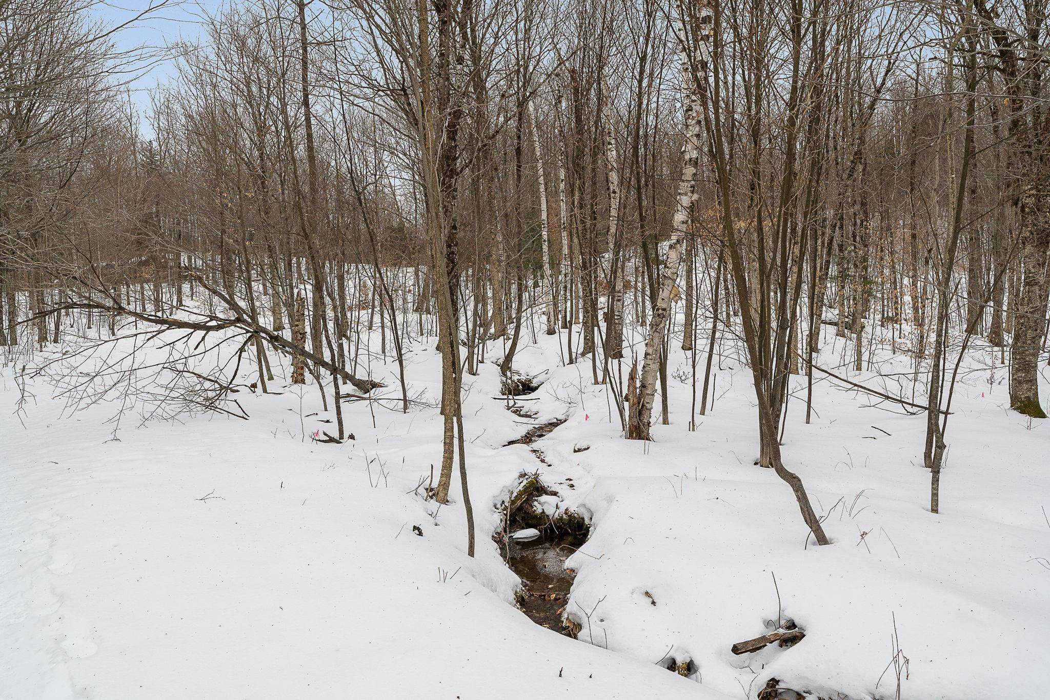 115 Stone Hill Road Bolton, VT 05465 - Photo 6 of 54