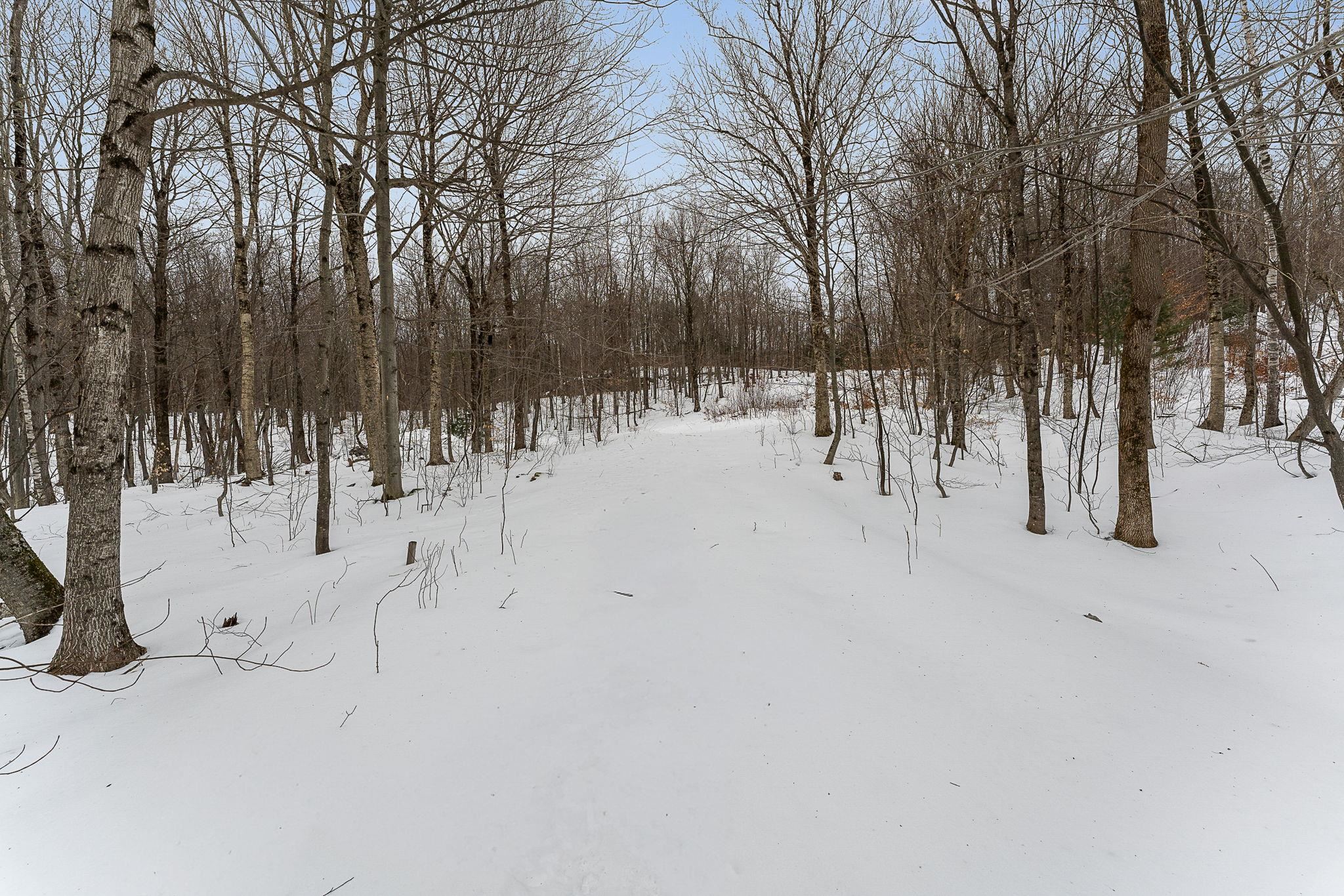 115 Stone Hill Road Bolton, VT 05465 - Photo 7 of 54