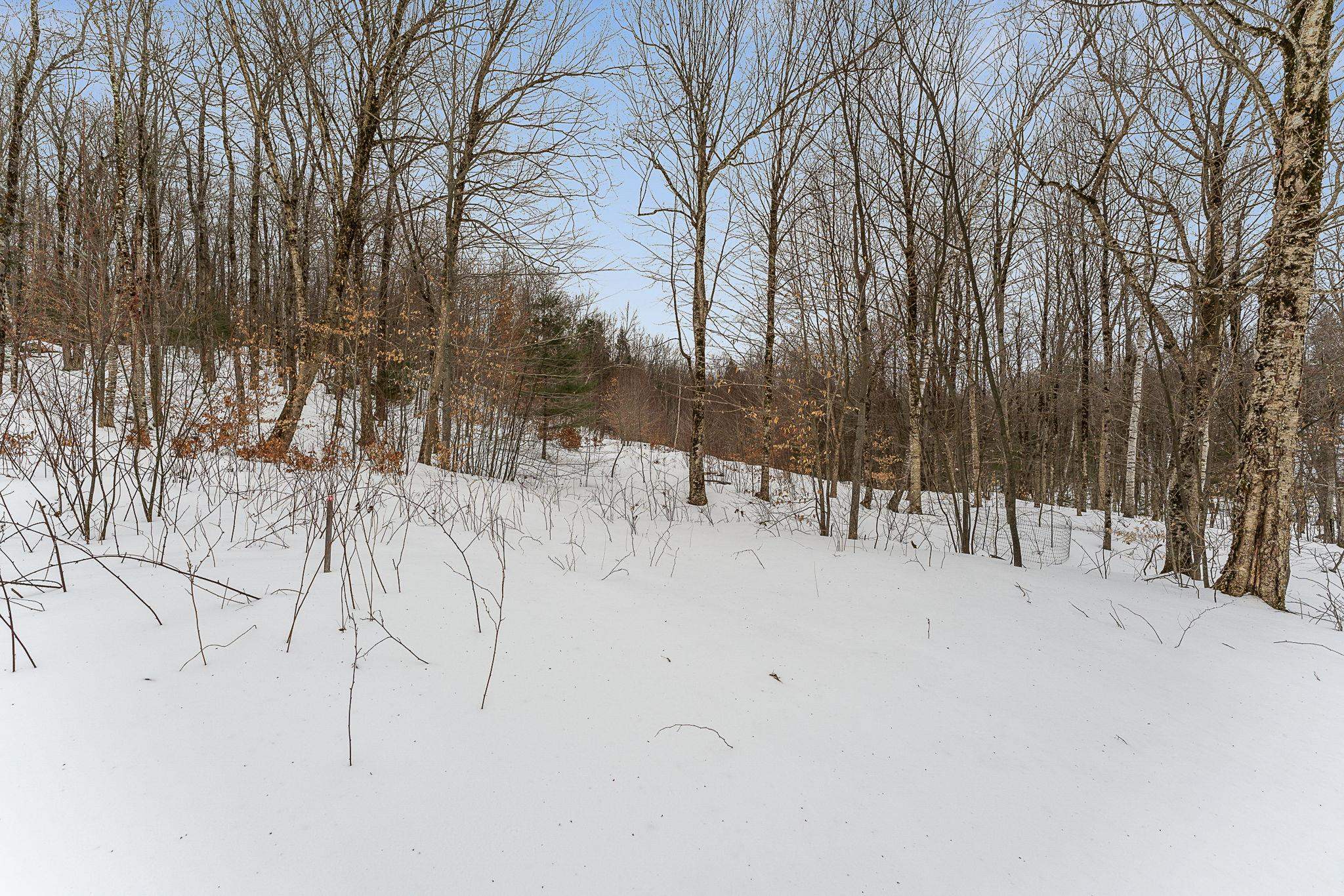 115 Stone Hill Road Bolton, VT 05465 - Photo 8 of 54