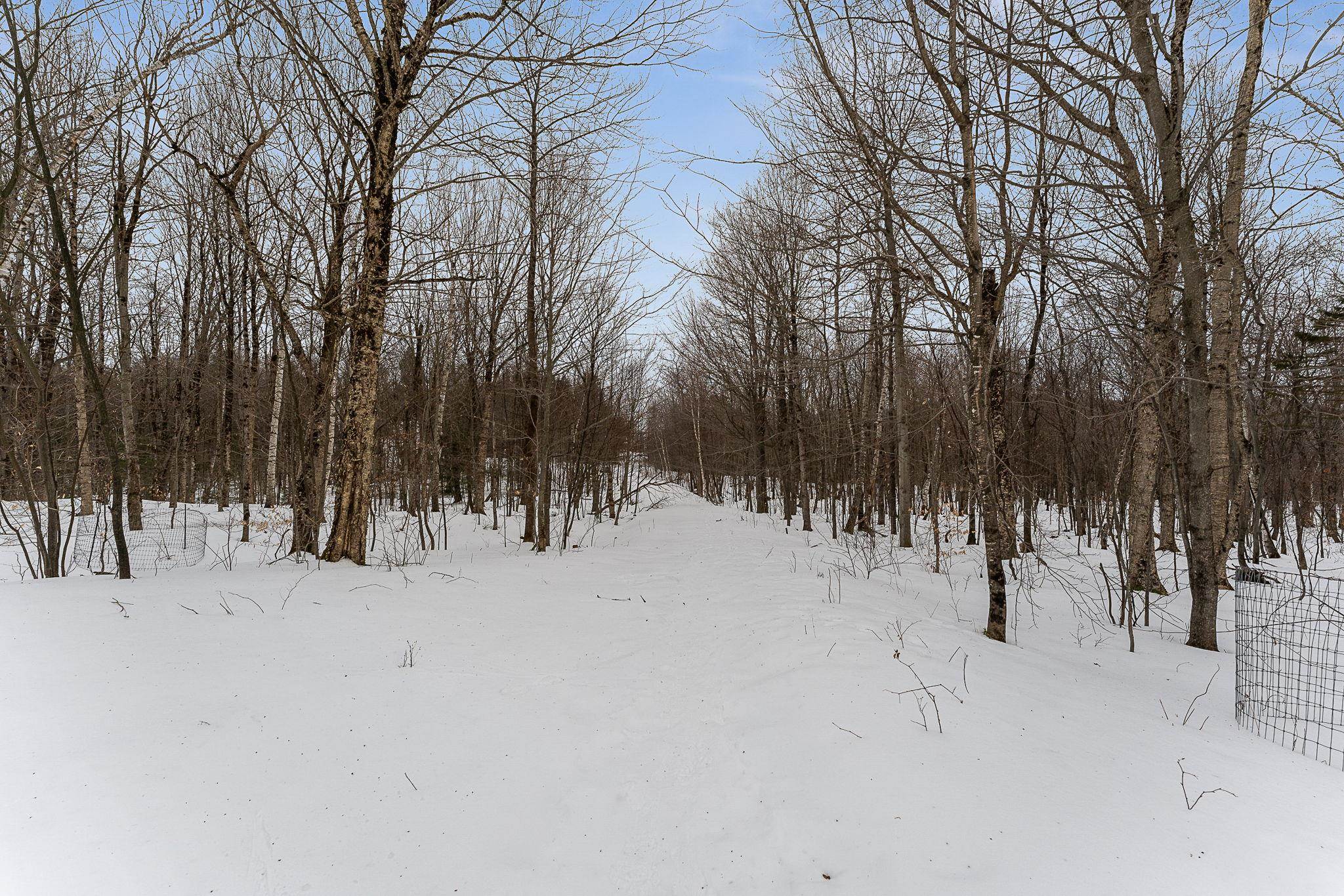115 Stone Hill Road Bolton, VT 05465 - Photo 9 of 54