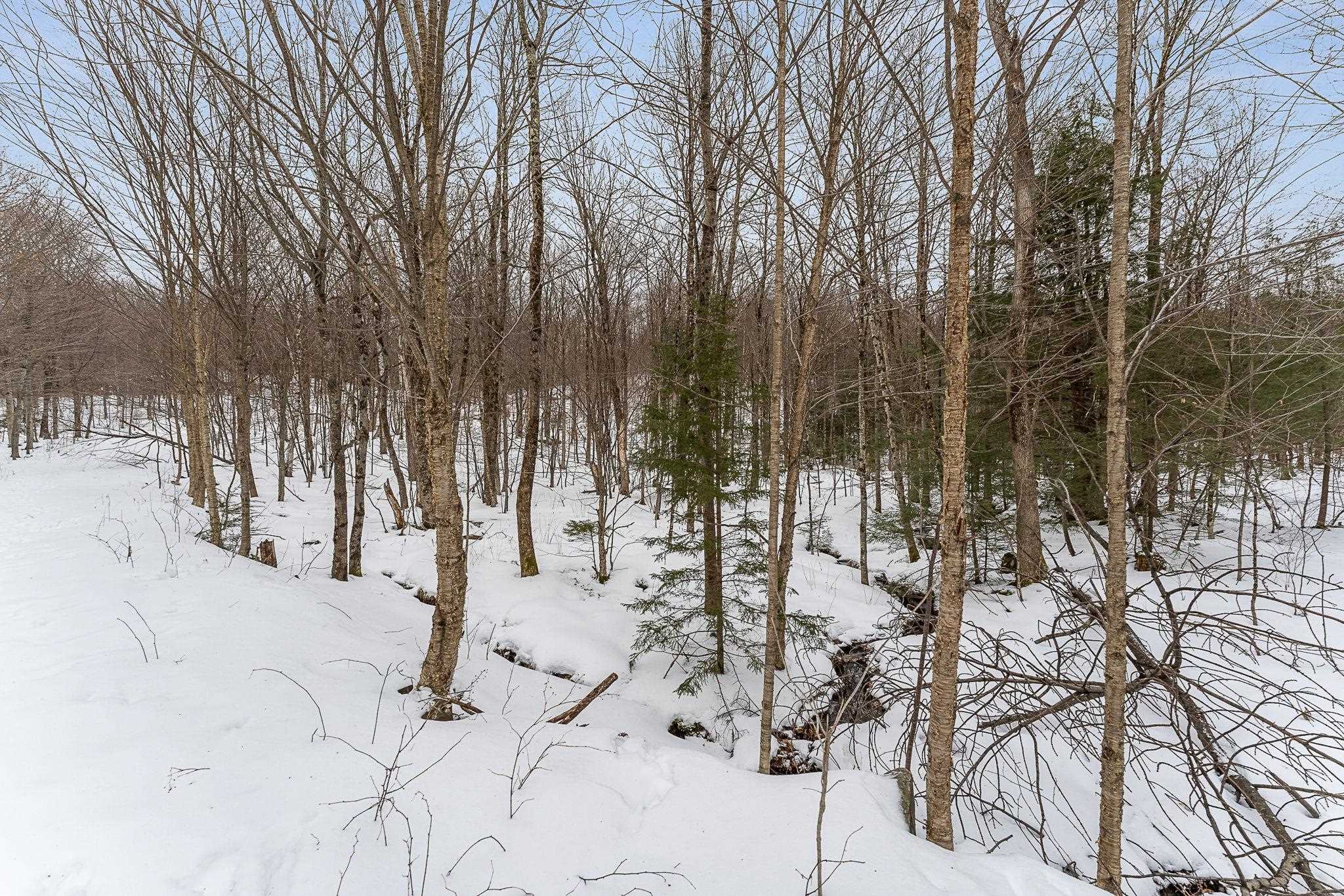 115 Stone Hill Road Bolton, VT 05465 - Photo 10 of 54