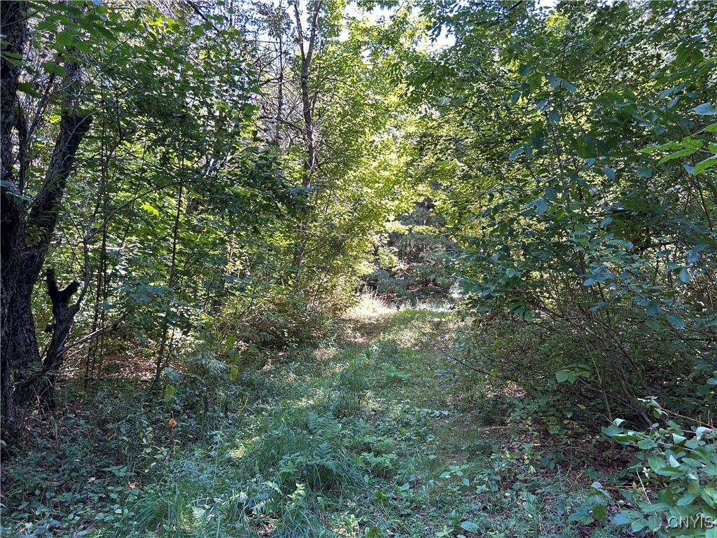 33 Austin Road Altmar, NY 13302 - Photo 6 of 12