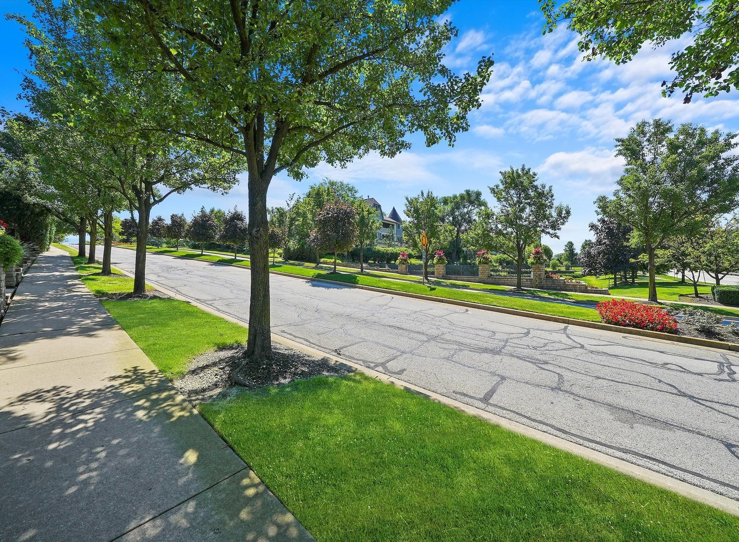 8886 Johnston Road Burr Ridge, IL 60527 - Photo 59 of 71