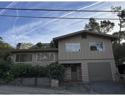 a front view of a house with plants