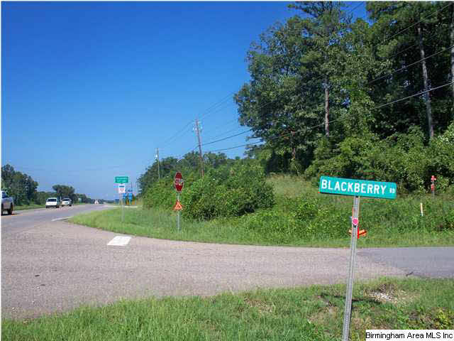0 Highway 11 Vance Al Vance, AL 35490 - Photo 2 of 8
