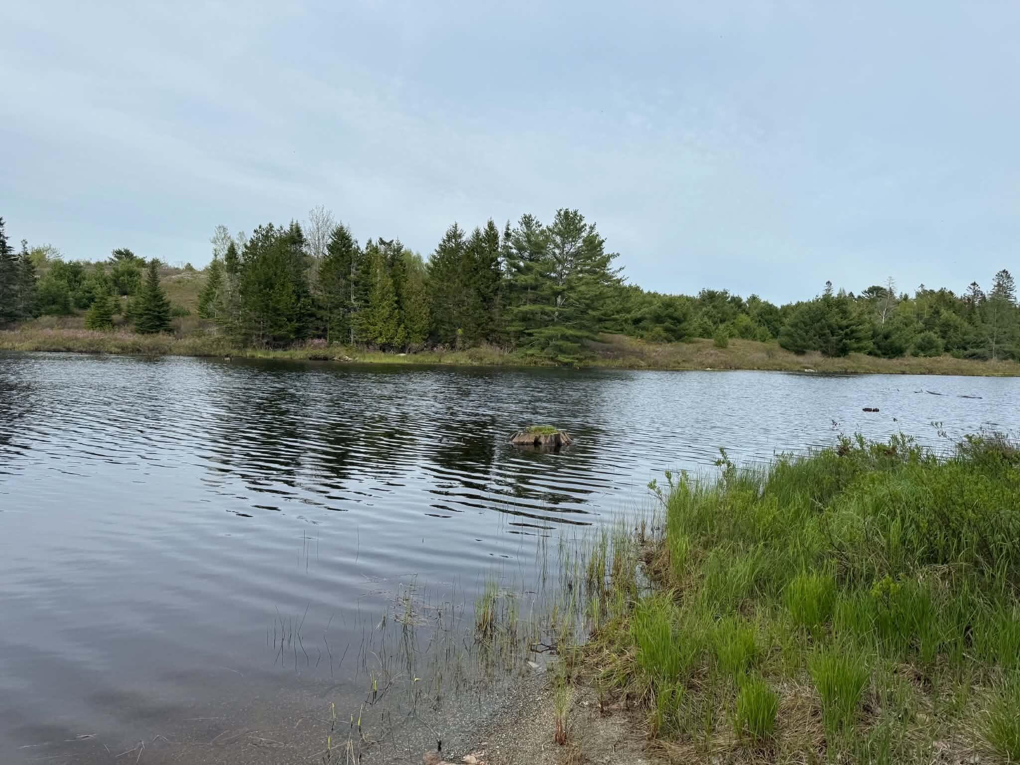 15 Emerson Preble Road Sullivan, ME 04664 - Photo 43 of 43