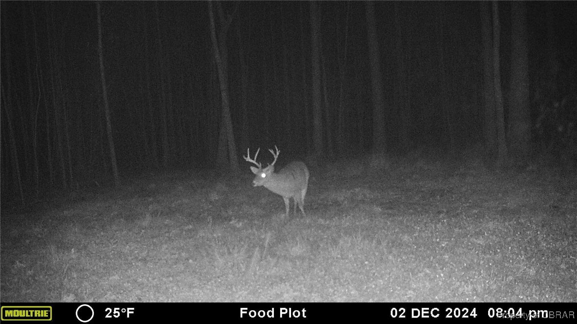 34 Acres Windsor Road North, VA 23128 - Photo 29 of 33