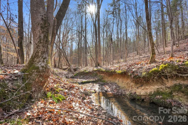 $439,000 | 0 Shannon Road, Blackstock, SC 29014