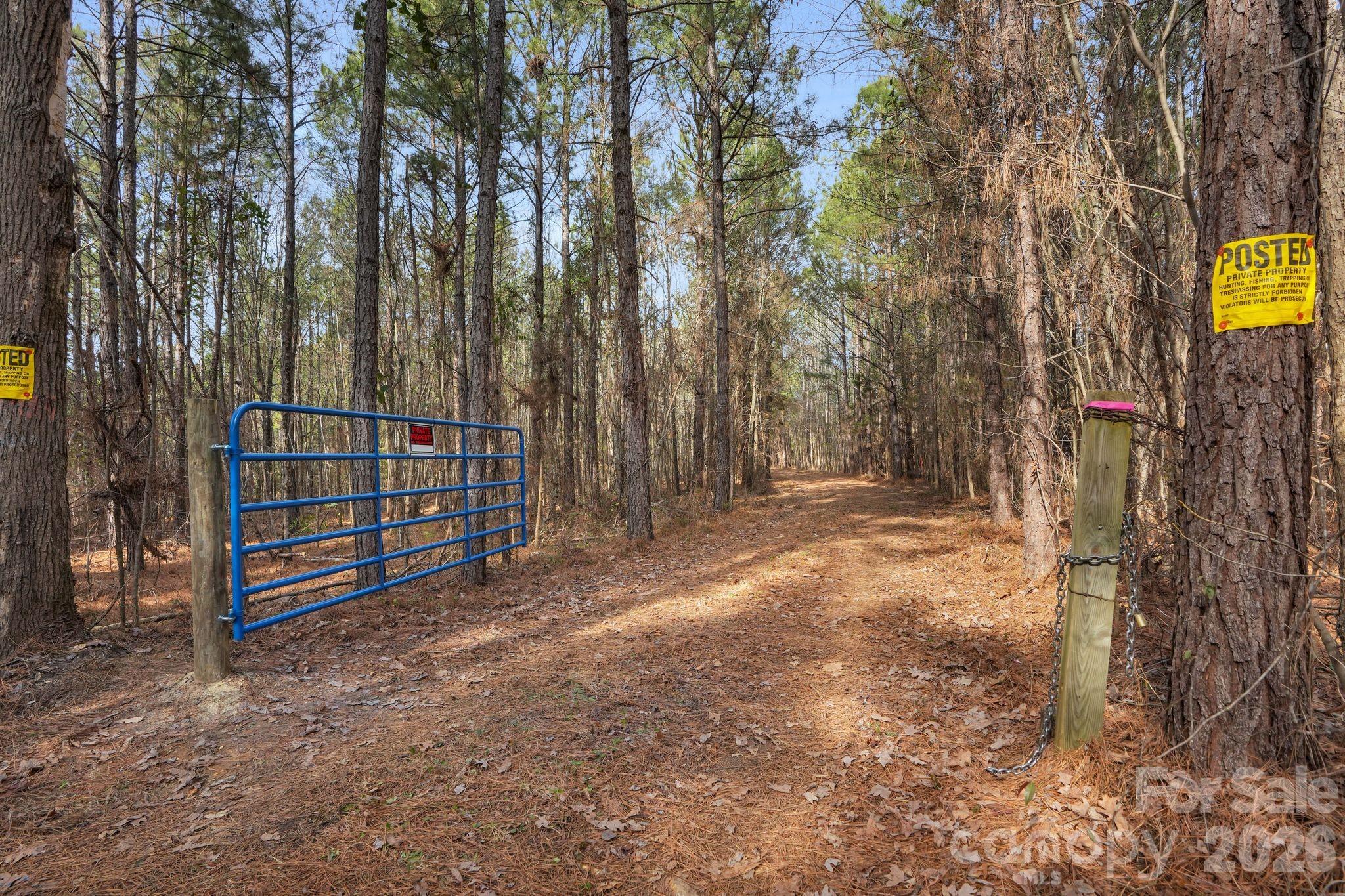 0 Shannon Road Blackstock, SC 29014 - Photo 10 of 48 Gallery Image 10