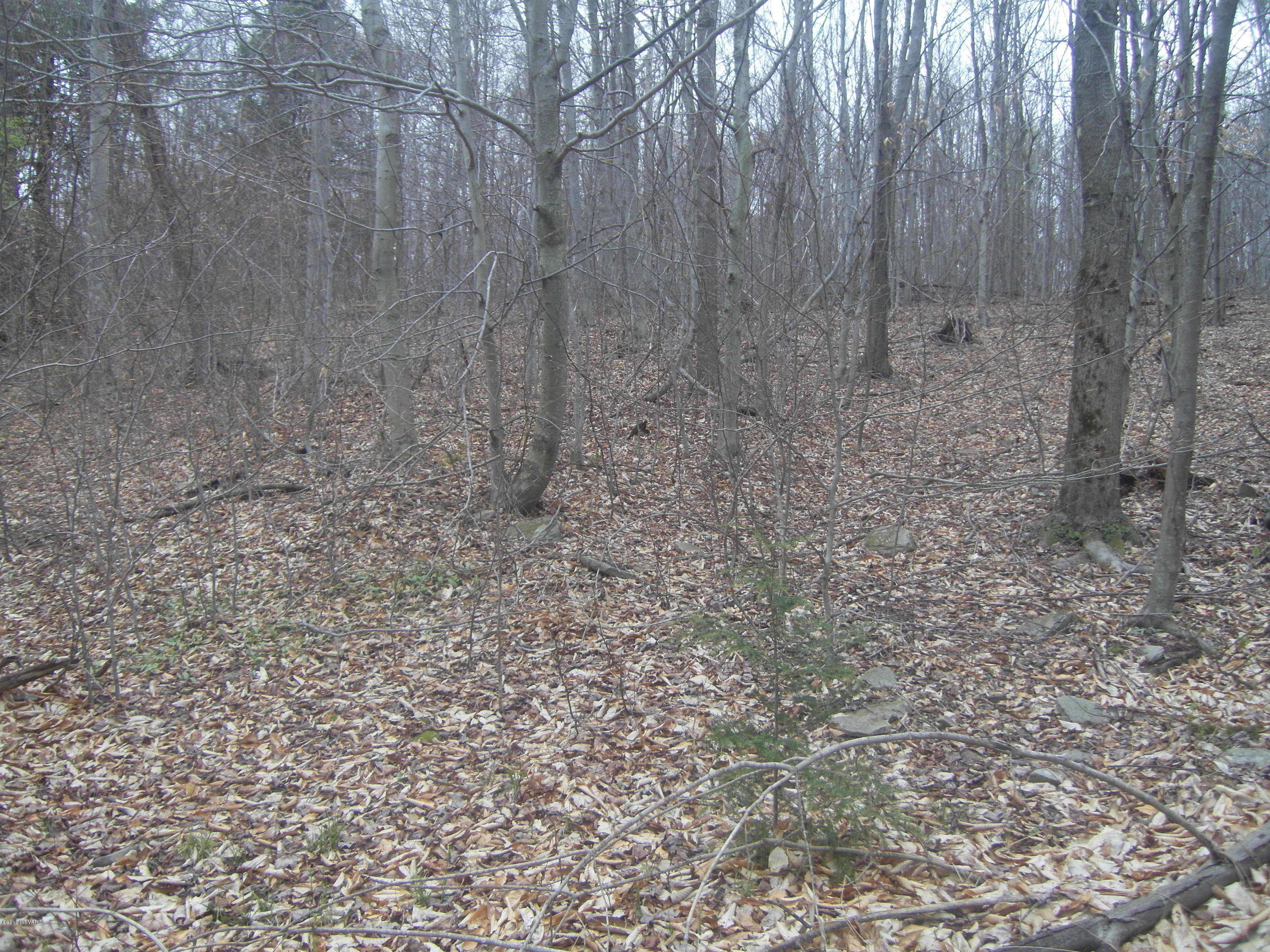 0 Hubtown Road, Unit LOT 6 Dushore, PA 18614 - Photo 1 of 5 SDC13969