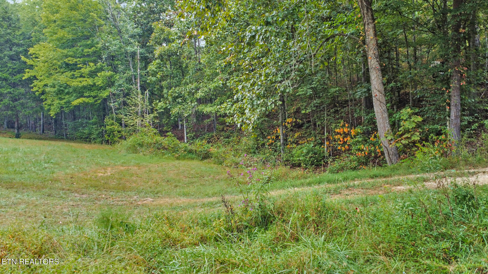 118 Hughes Road Kingston, TN 37763 - Photo 8 of 14 dji_0355-dji_0357