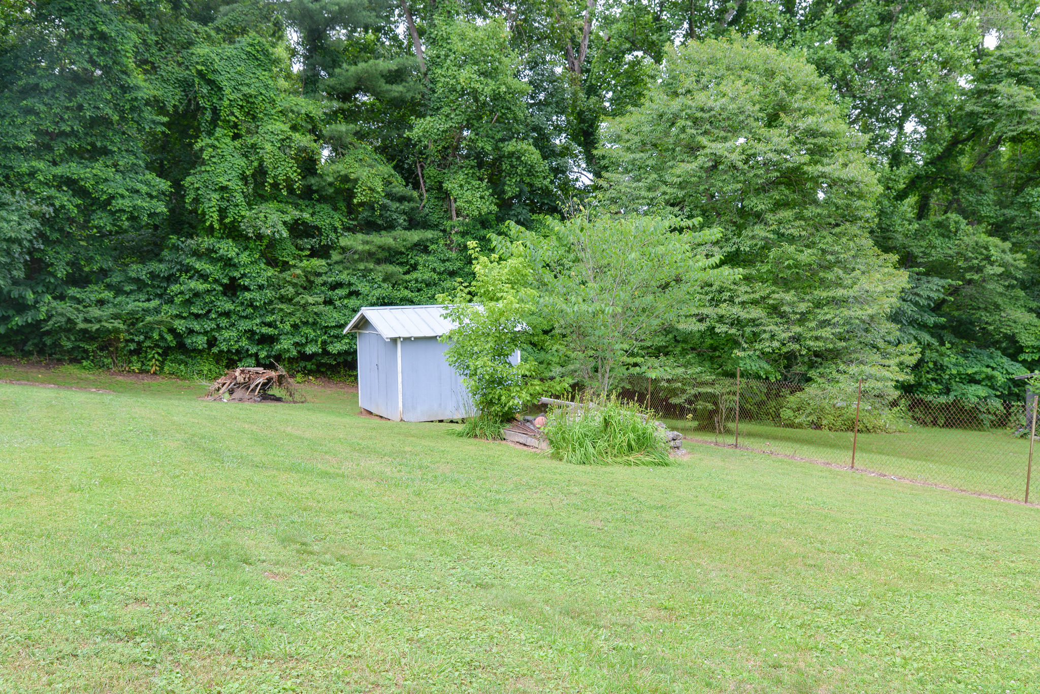 135 Reece Tunnell Circle Fall Branch, TN 37656 - Photo 15 of 16 DSC_9579