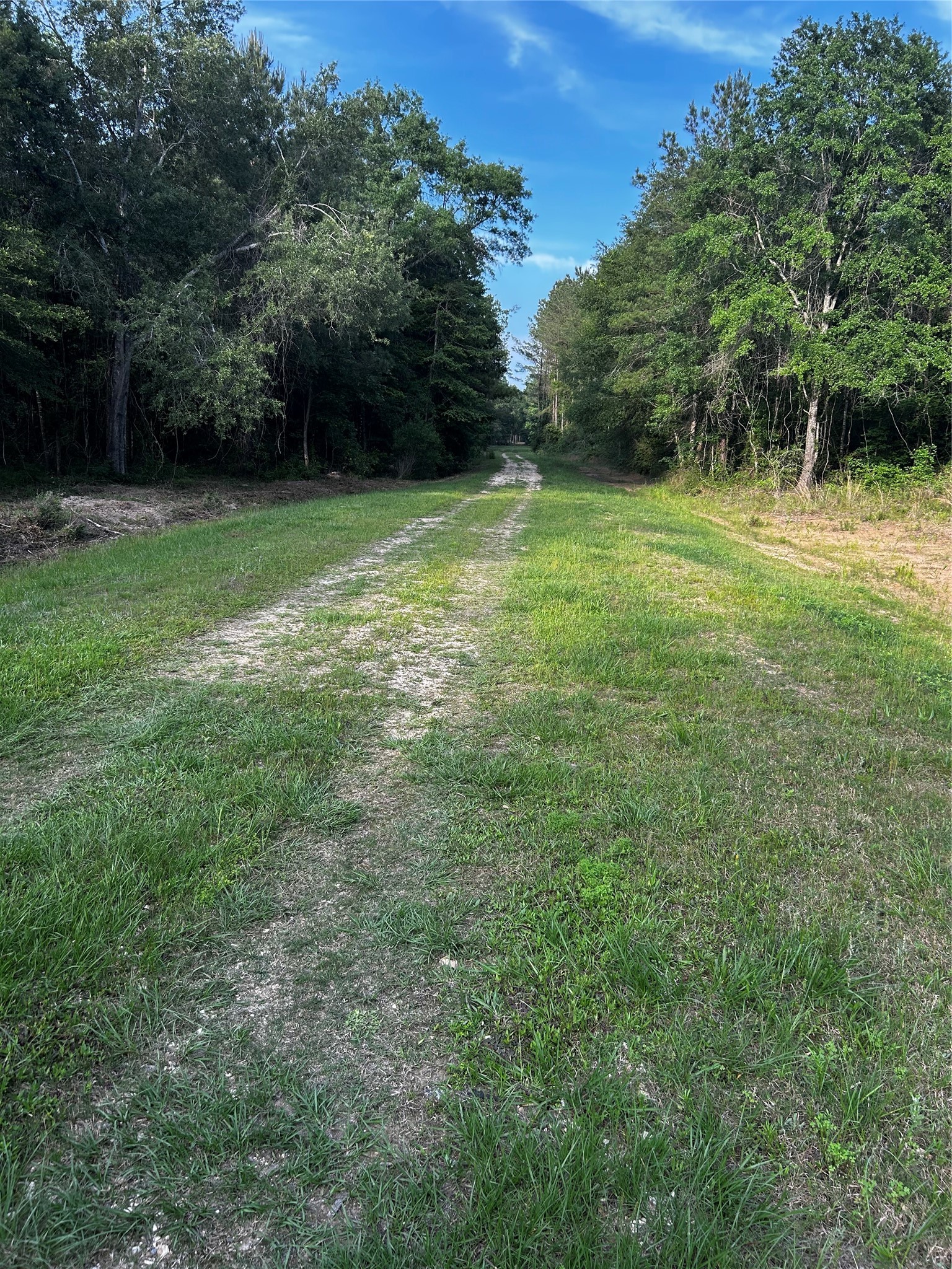 0 County Line Road Shepherd, TX 77371 - Photo 25 of 50