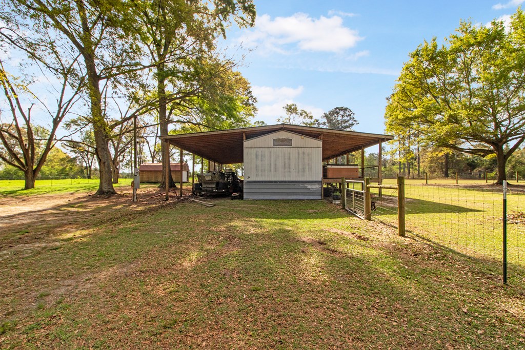 158 Brown Road Clio, AL 36017 - Photo 48 of 75