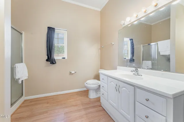 a bathroom with a toilet a sink a mirror and wooden floor