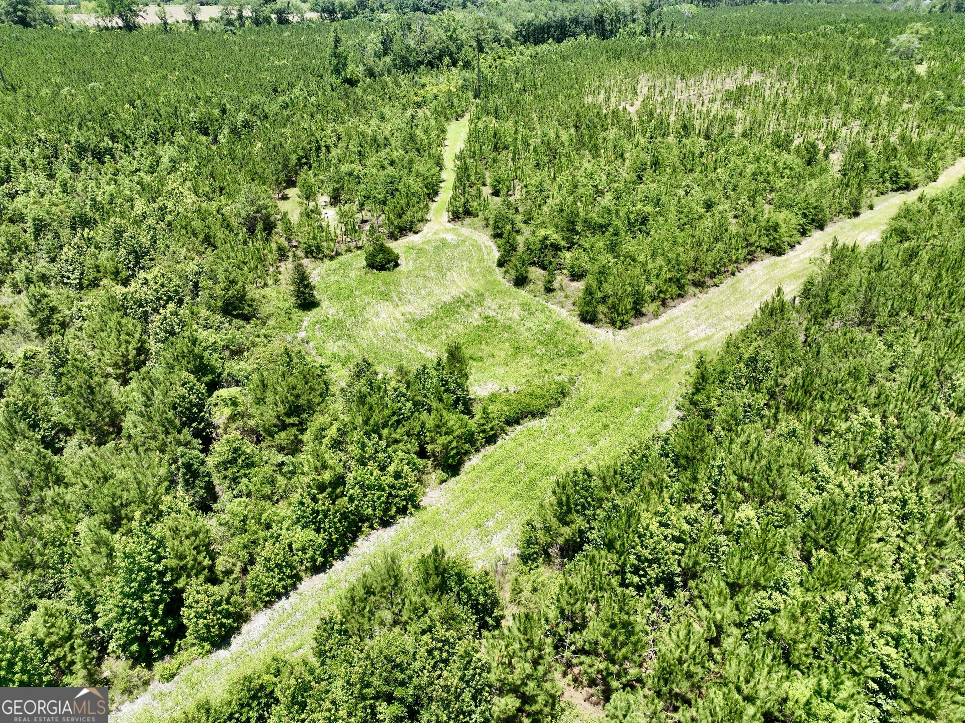 0 West River Road Rhine, GA 31077 - Photo 2 of 31
