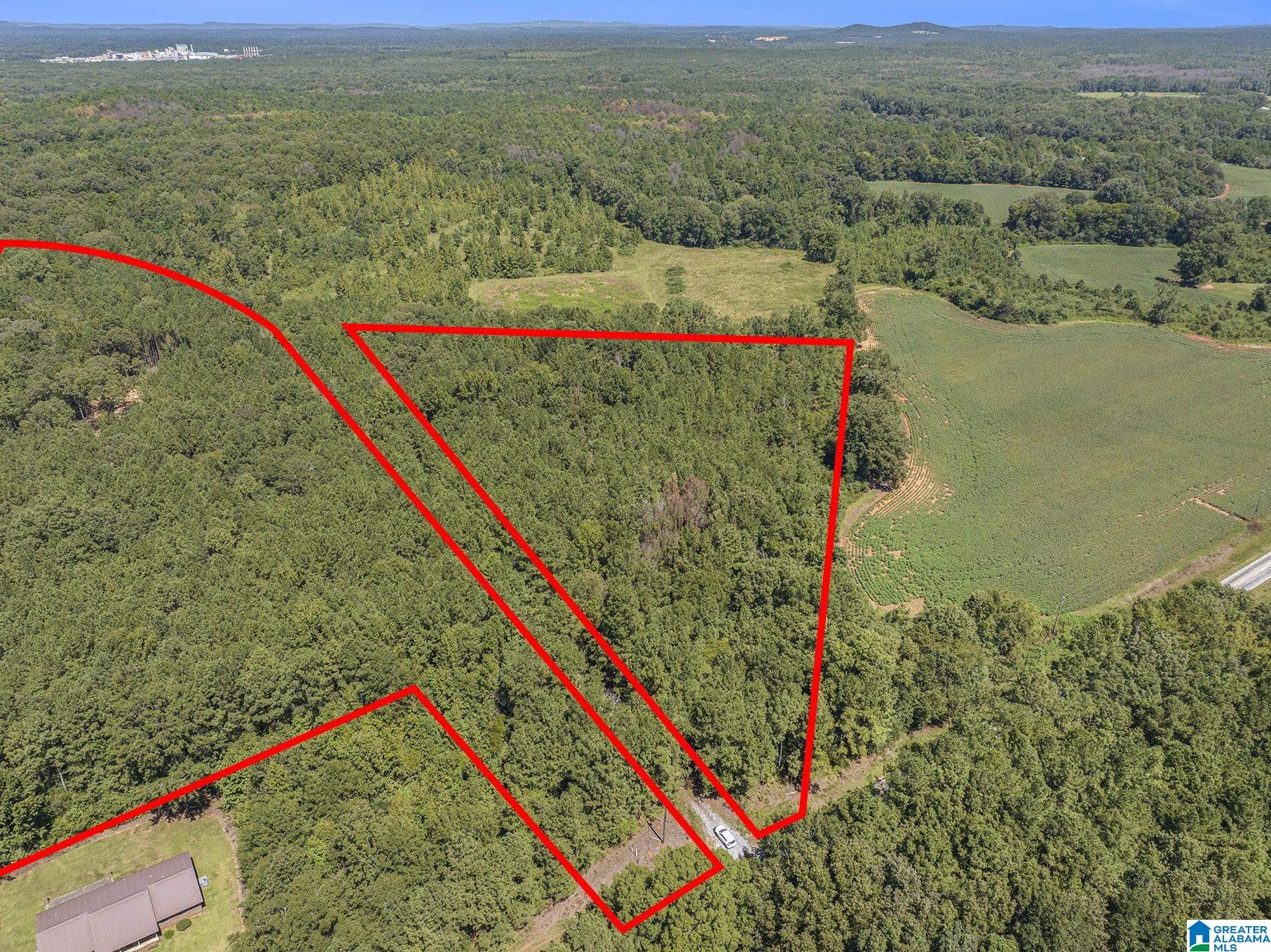 10614 Grist Mill Road, Unit 1 Childersburg, AL 35044 - Photo 4 of 9