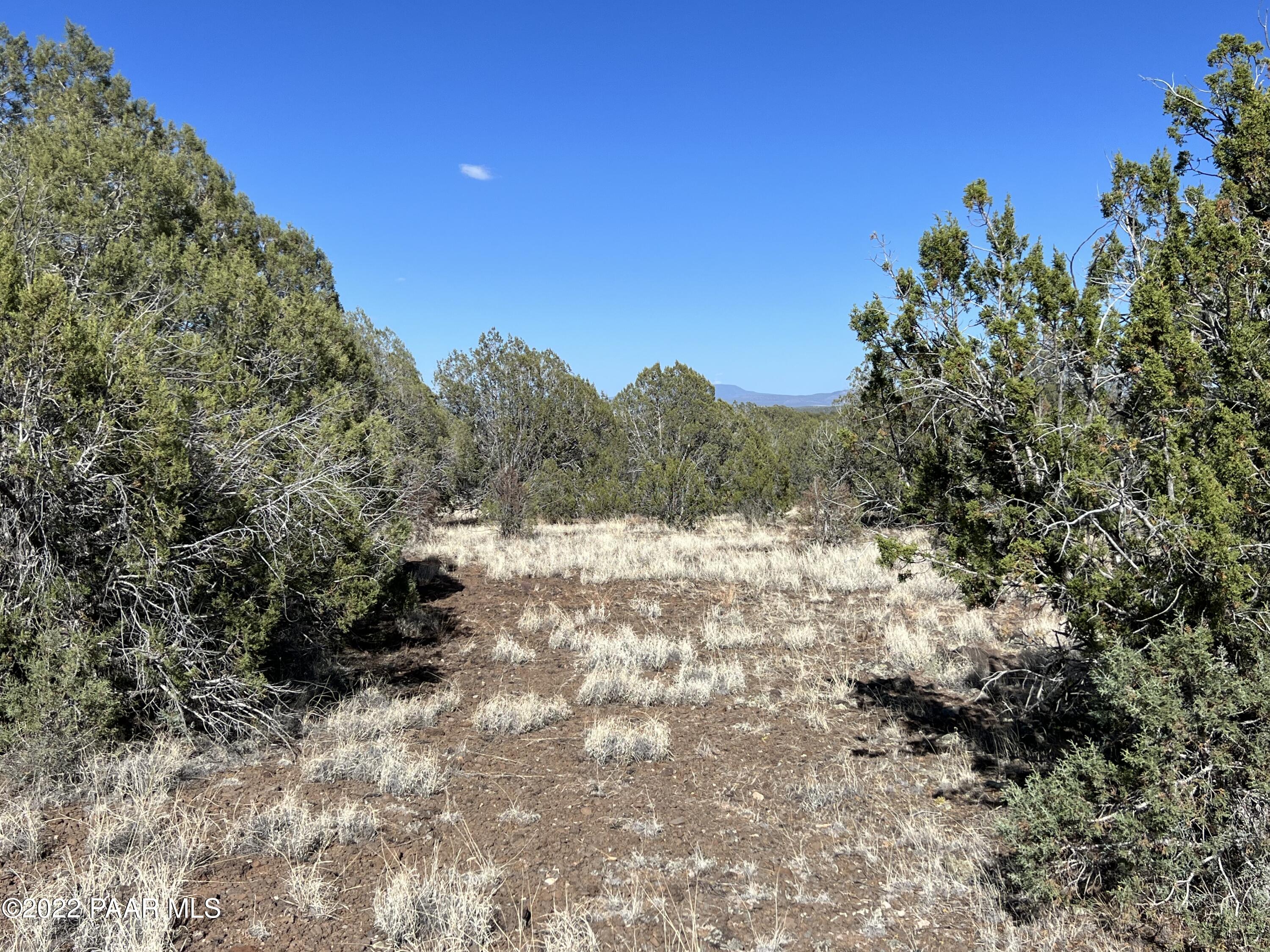 2 B Stockmans Road Ash Fork, AZ 86320 - Photo 3 of 7 IMG_0746