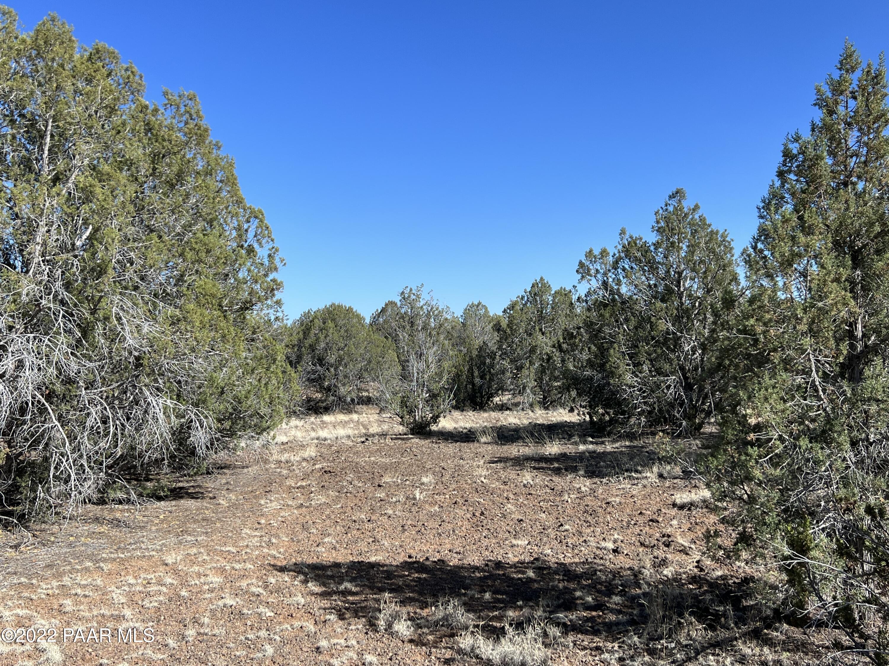 2 B Stockmans Road Ash Fork, AZ 86320 - Photo 4 of 7 IMG_0747