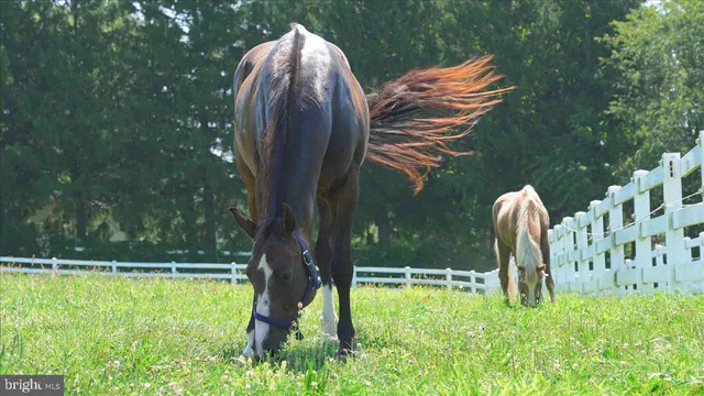 $3,995,000 | 400 North Guernsey Road, West Grove, PA 19390