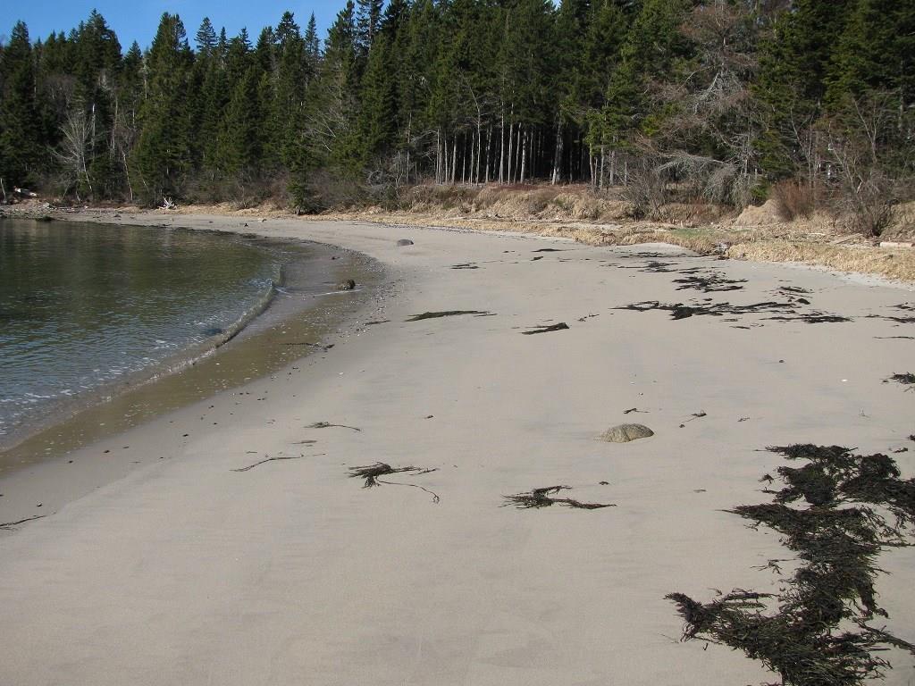 359 Guard Point Road Harrington, ME 04643 - Photo 25 of 35 Great location to launch a kayak,...