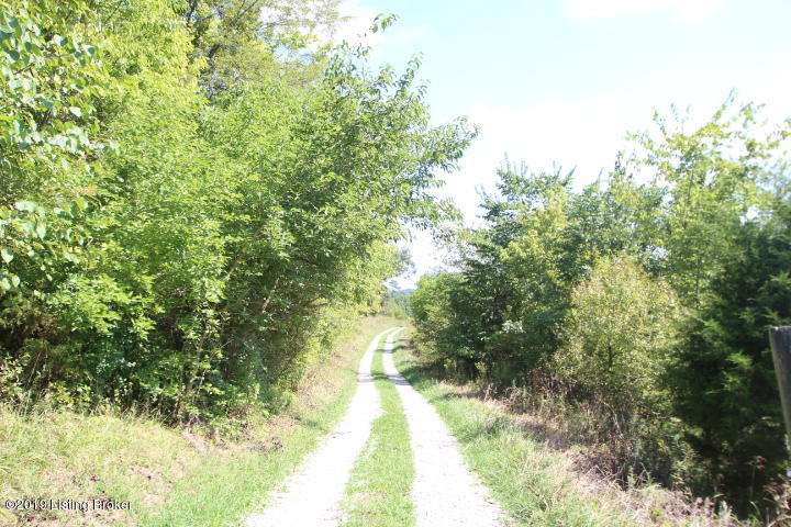 1272 Kays Road Lawrenceburg, KY 40342 - Photo 29 of 29 IMG_9799