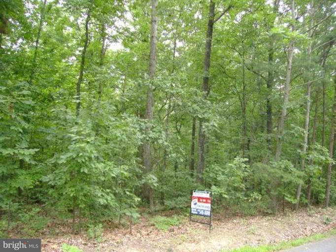 Clark Patton Road Fredericksburg, VA 22406 - Photo 1 of 1 Exterior (Main)