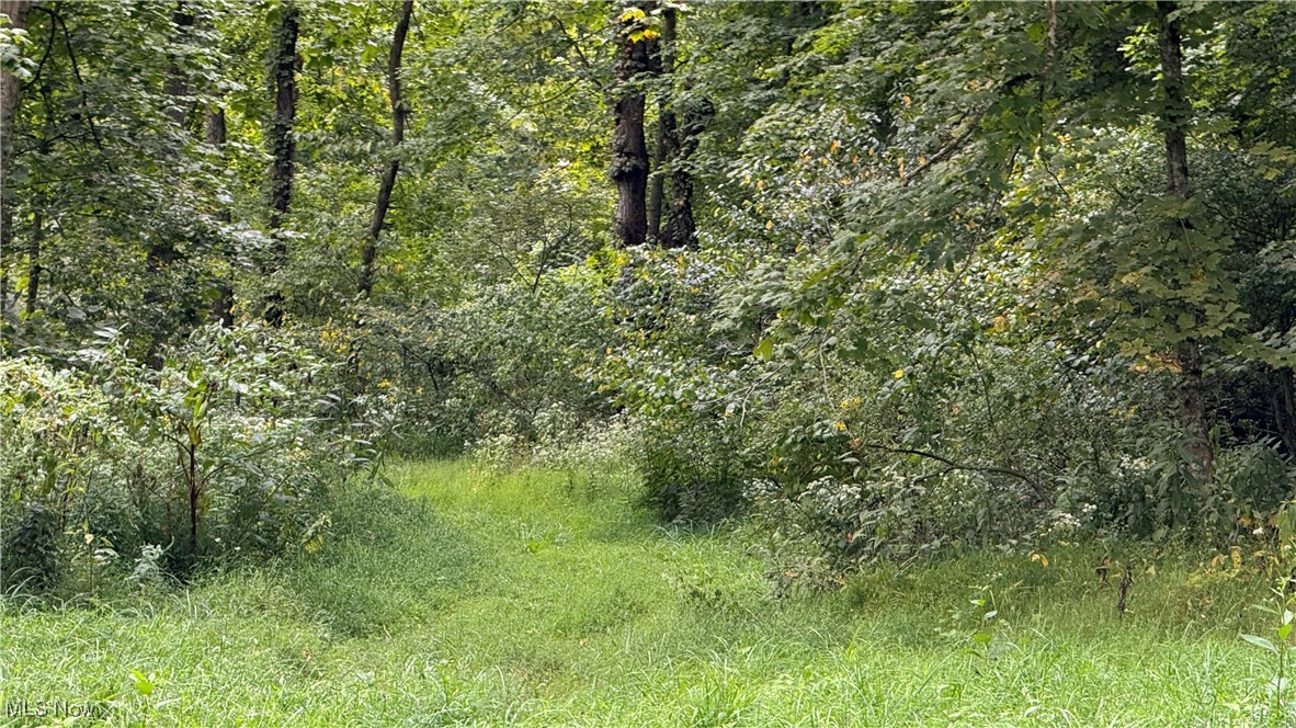 Riley Chapel Road Howard, OH 43028 - Photo 17 of 27