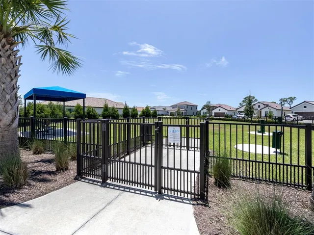 a garden with palm trees