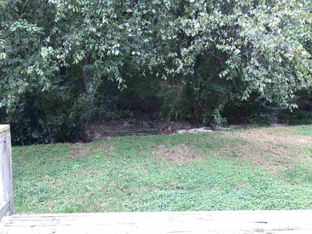 1728 Vintage Road Raleigh, NC 27610 - Photo 16 of 16 a backyard of a house with lots of green space