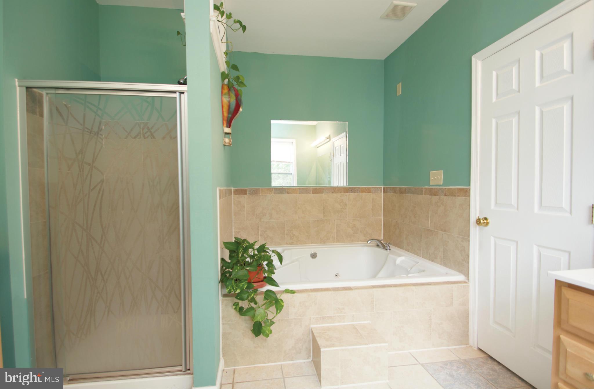 505 Pinewood Road Rockville, MD 20850 - Photo 17 of 30 Bath (Master)