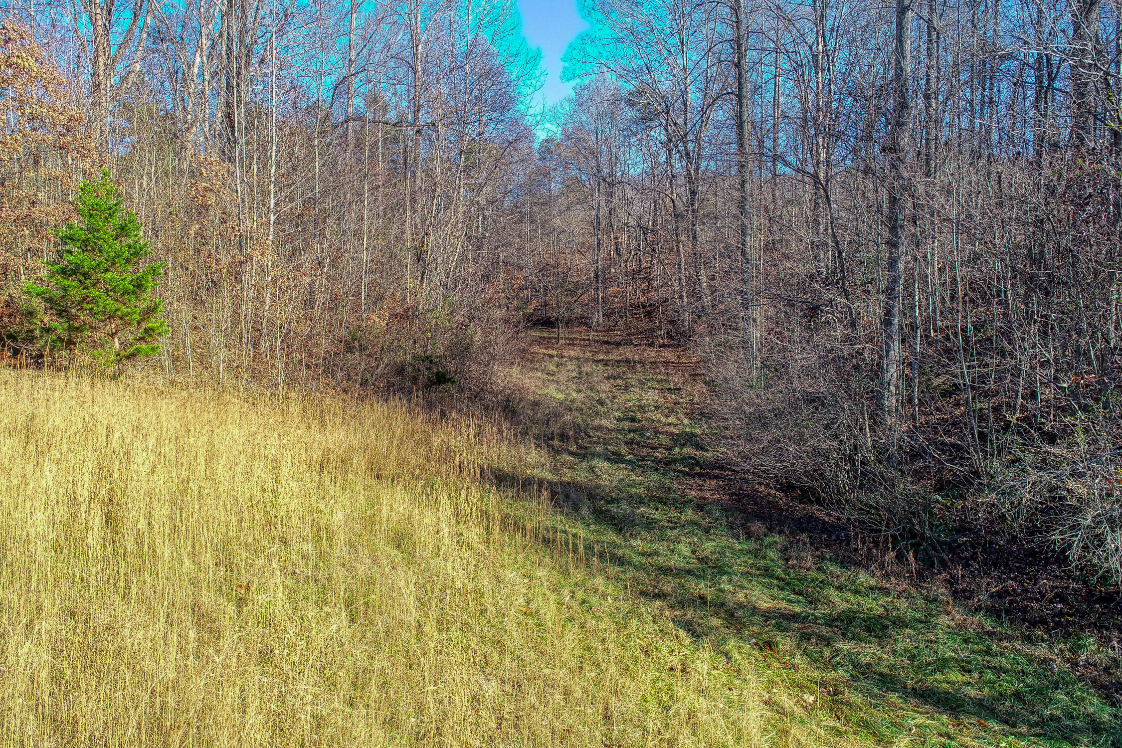 1173 Butcher Valley Road Rogersville, TN 37857 - Photo 12 of 92 1173 Butchers V. Rog MLSa (11 of 51) V