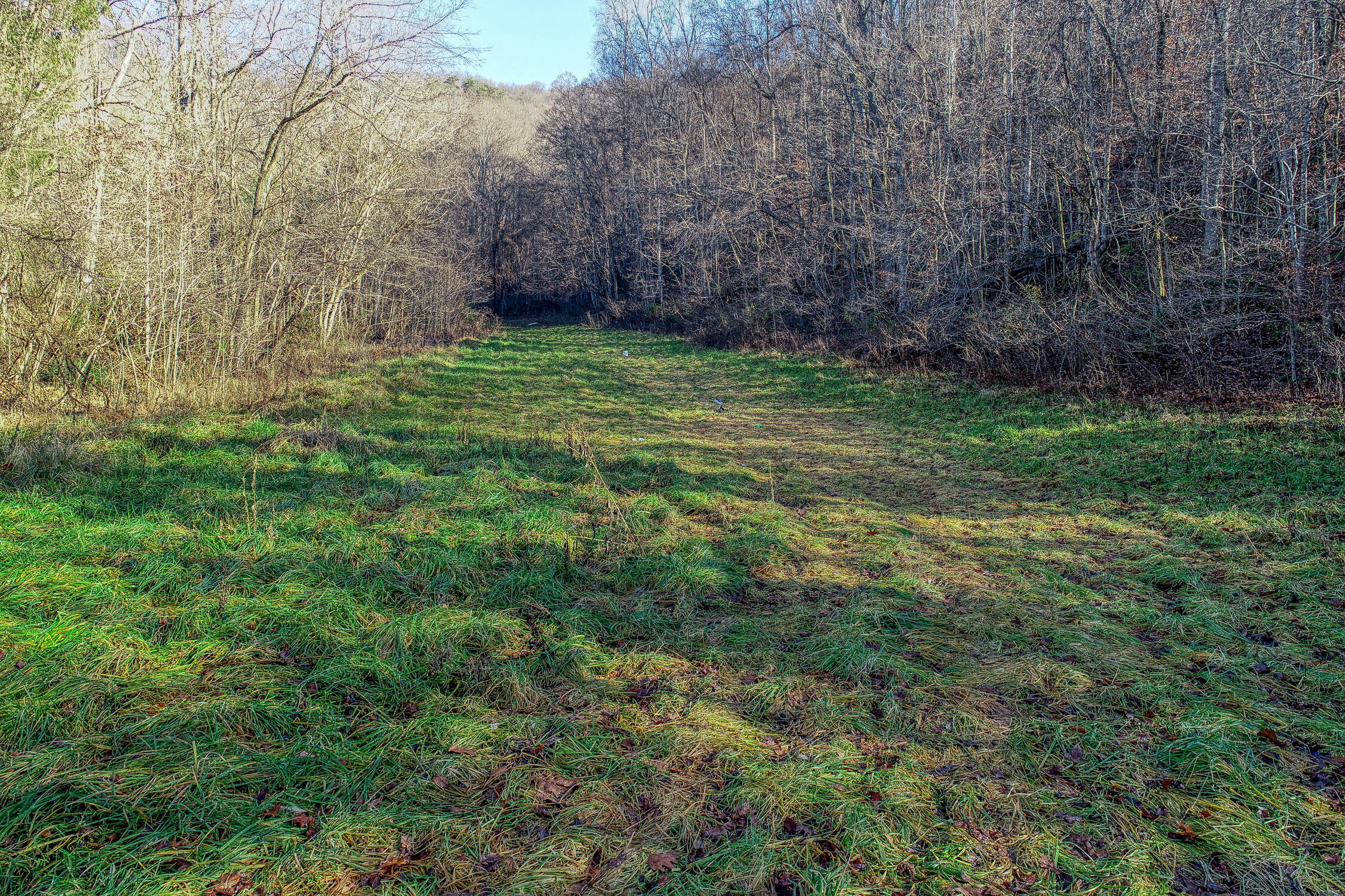1173 Butcher Valley Road Rogersville, TN 37857 - Photo 50 of 92 1173 Butchers V. Rog MLSa (47 of 51) V