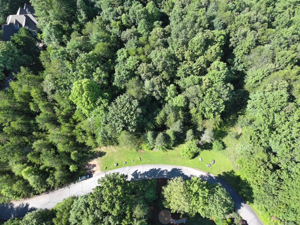 112 Links View Court Sunset, SC 29685 - Photo 6 of 9 An aerial perspective reveals a secluded home nestled within a dense, verdant forest, accessed by a winding road.