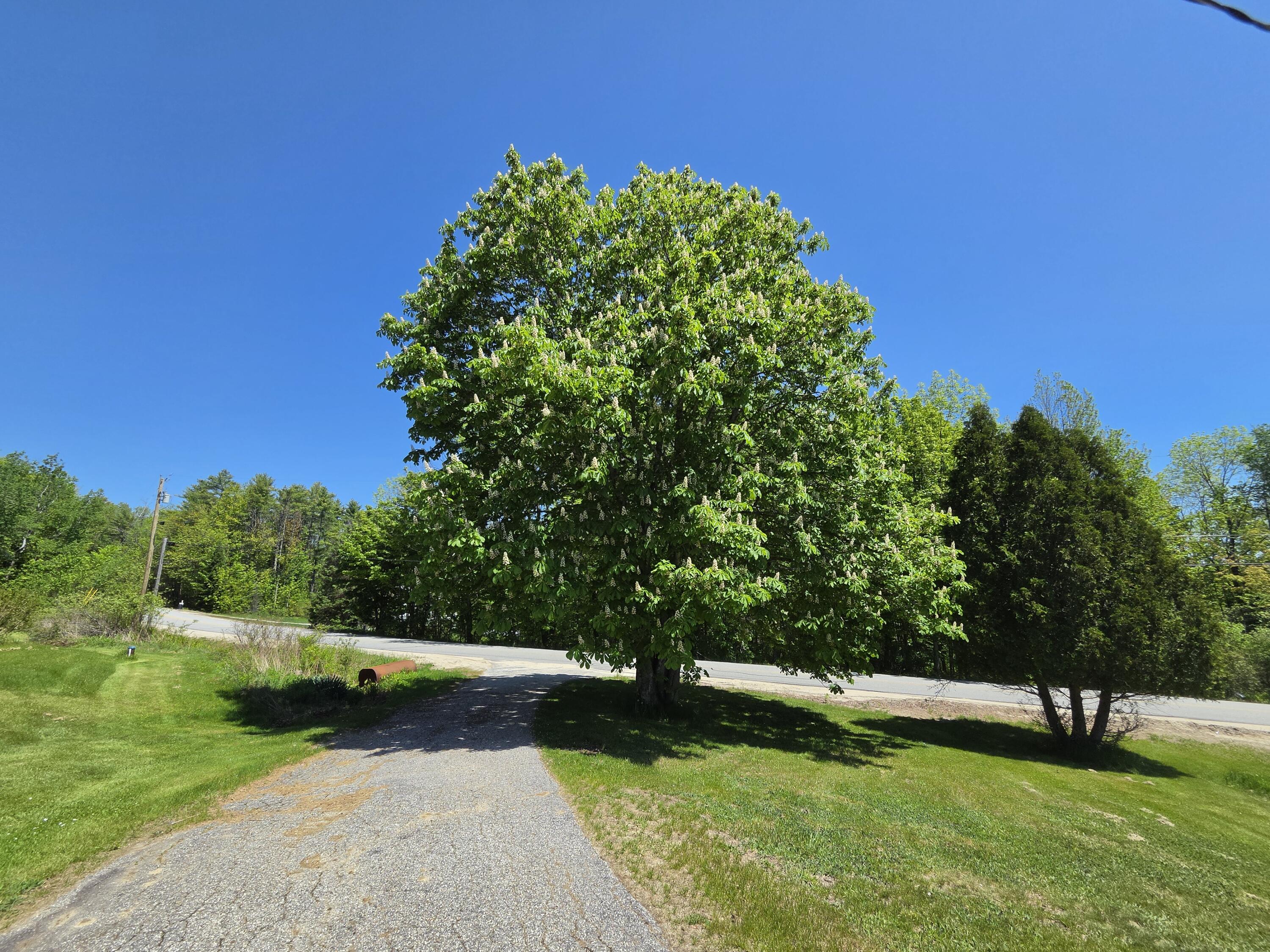 842 Brighton Hill Road Minot, ME 04258 - Photo 31 of 34 20260526_114151