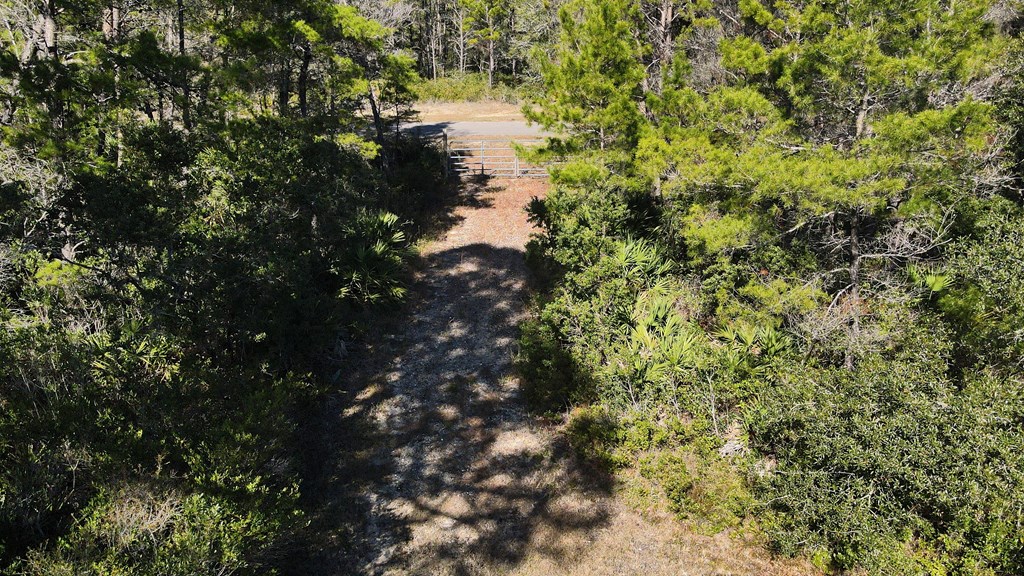 1927 Lighthouse Road Carrabelle, FL 32322 - Photo 10 of 19 Gallery Image 10