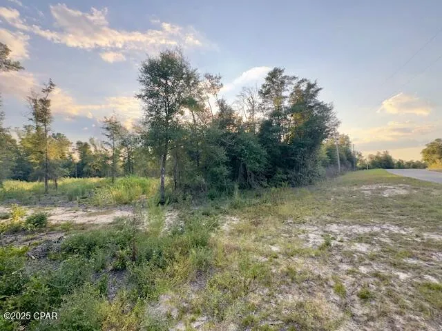 $16,800 | Lot 21 Blk 211 Vancouver Drive, Alford, FL 32420
