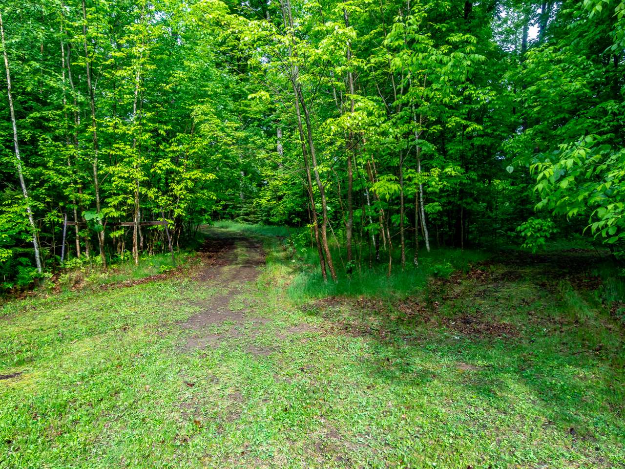 N10517 Pine Lake Road Gleason, WI 54435 - Photo 14 of 27 Gallery Image 14