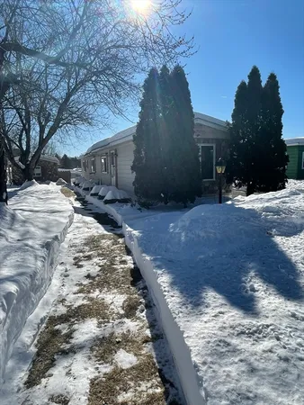 a view of a yard with large trees