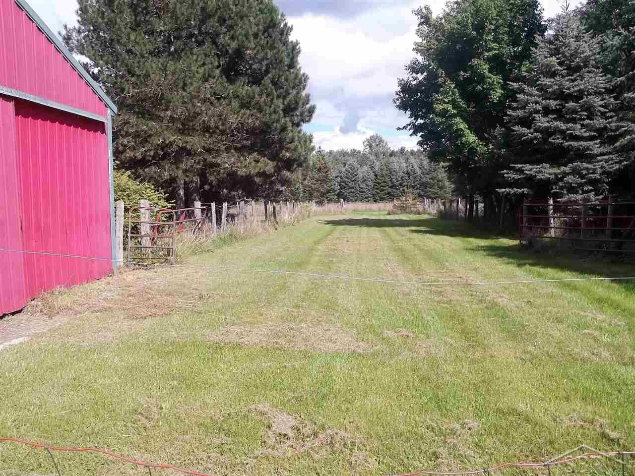 177 South Brennan Road Hemlock, MI 48626 - Photo 4 of 11