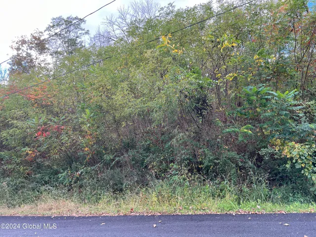 $59,000 | L4 Schuyler Heights Drive, Schuylerville, NY 12871