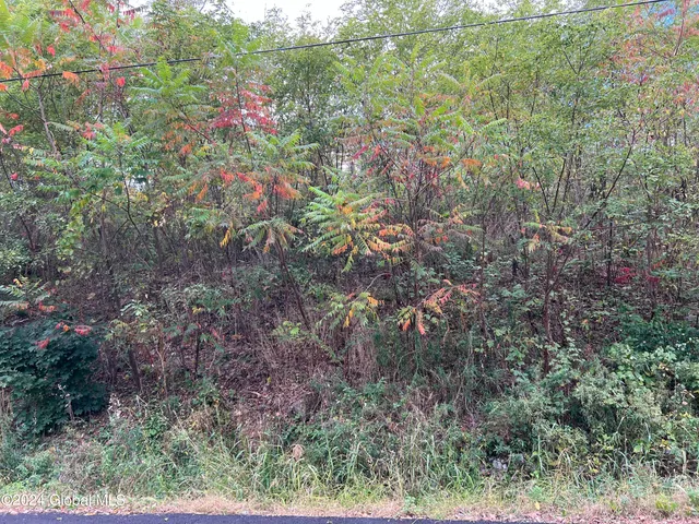 $59,000 | L4 Schuyler Heights Drive, Schuylerville, NY 12871