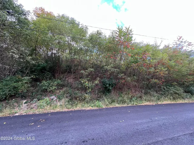 $59,000 | L4 Schuyler Heights Drive, Schuylerville, NY 12871