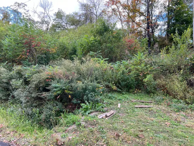 $59,000 | L4 Schuyler Heights Drive, Schuylerville, NY 12871